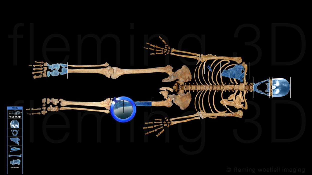 Stirling skeleton touchscreen interface