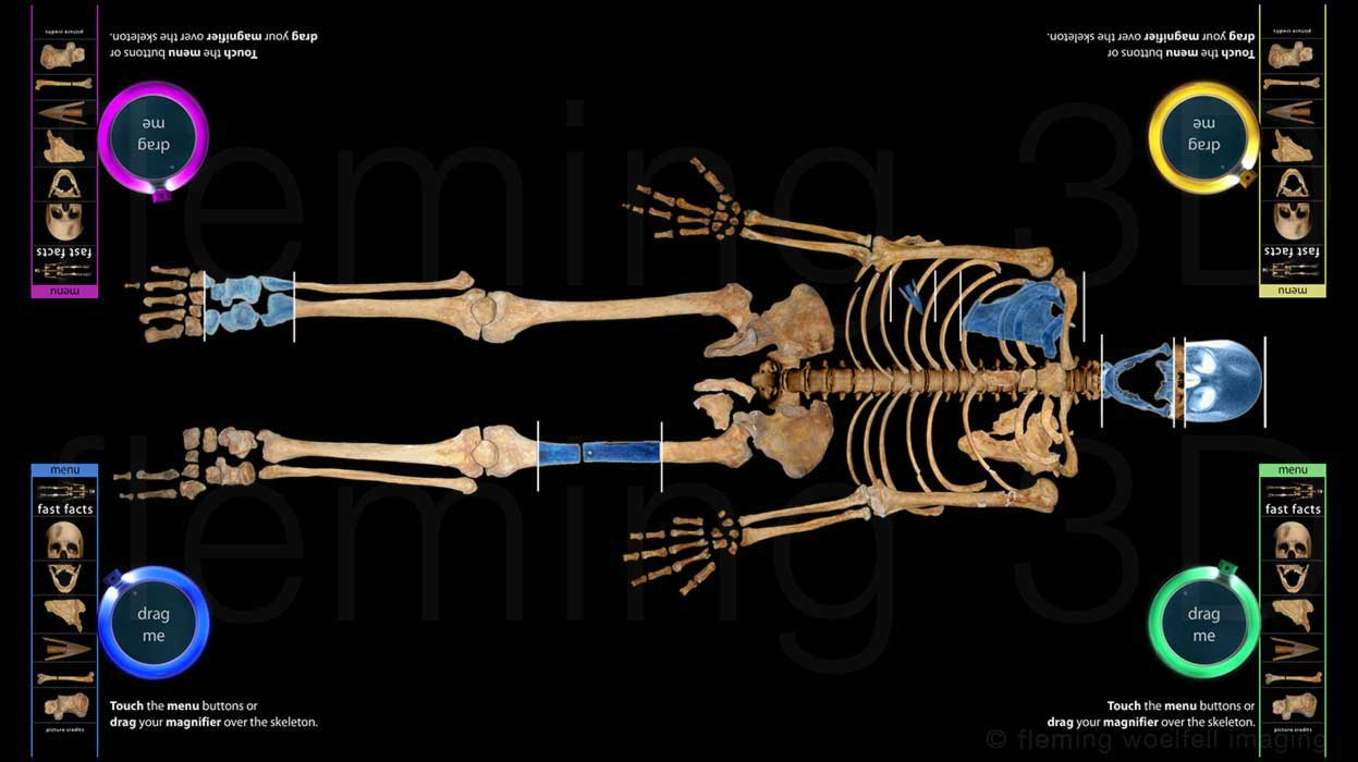 Stirling skeleton touchscreen stations